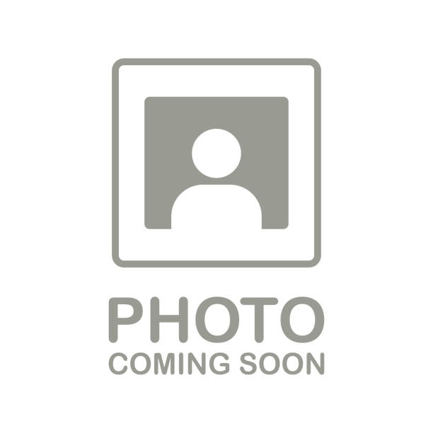 stockillustraties, clipart, cartoons en iconen met photo coming soon. no photos yet. photo button. no images yet. vector - verlies fotos