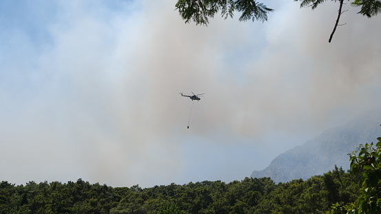 Kemer district, Antalya city, Türkiye. 25 July 2023\nDuring a big fire\nThe fire brigade helicopter took off with a bucket of water in the air and took action to extinguish the fire.\nThe photo was taken through the trees. The fire is somewhere nearby. Fire smoke in the background