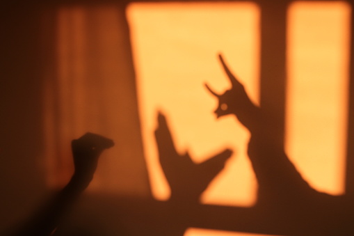 Shadow Theater on the Wall with Sunlight