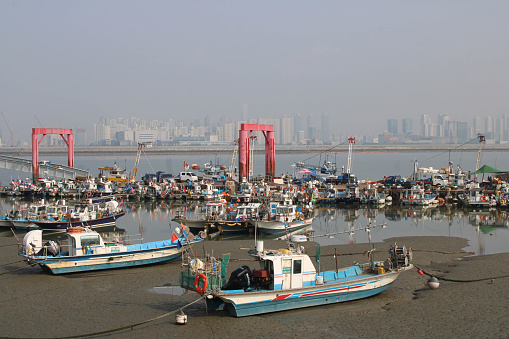 Oido, South Korea-July 29, 2023: Colorful industrial and recreational fishing boats docked in floating pier, on a low-tide hazy morning