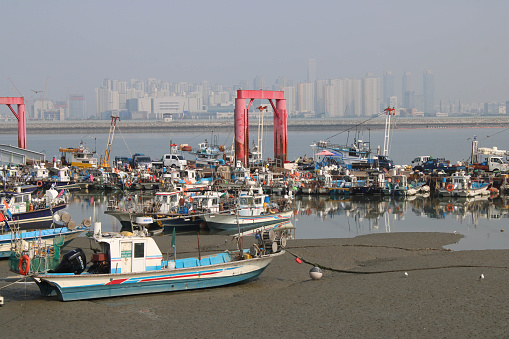 Oido, South Korea-July 29, 2023: Colorful industrial and recreational fishing boats docked in floating pier, on a low-tide hazy morning