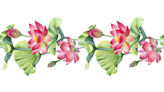 istock Watercolor lotus seamless border isolated on a white background. 1581636049