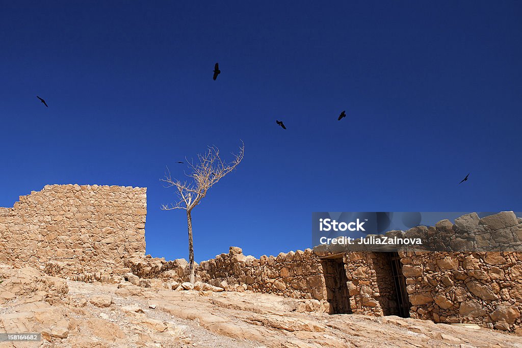 Árvore solitária e destruição de uma parede em Israel - Royalty-free Andar Foto de stock