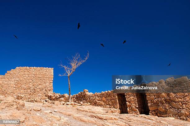 Árvore Solitária E Destruição De Uma Parede Em Israel - Fotografias de stock e mais imagens de Andar