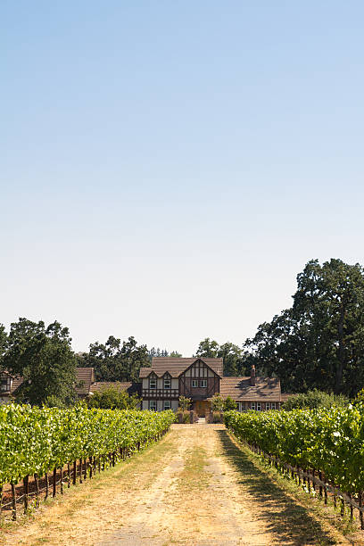 schönes haus in einem weingut - california napa valley vineyard farmhouse stock-fotos und bilder