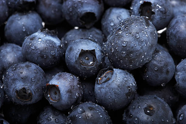 Blueberries stock photo