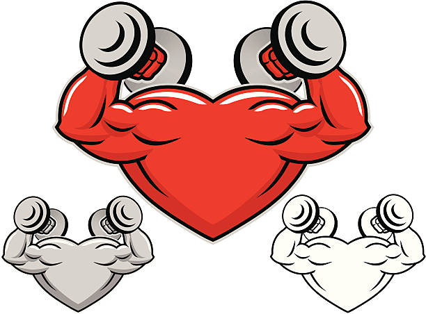 ilustrações, clipart, desenhos animados e ícones de coração forte com halteres - white background dumbbell the human body human arm