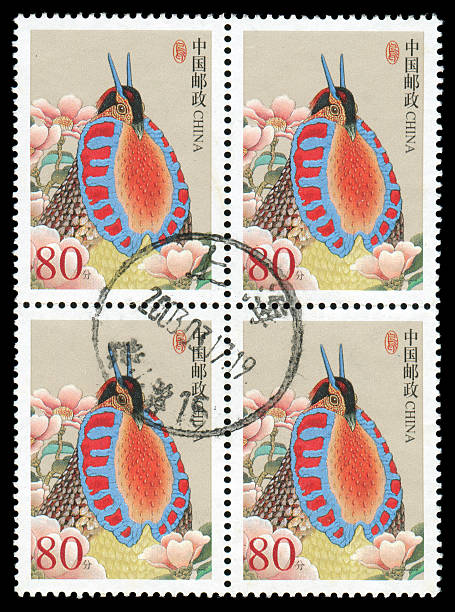 istock Birds-Tragopan caboti (XXXL) 158167369