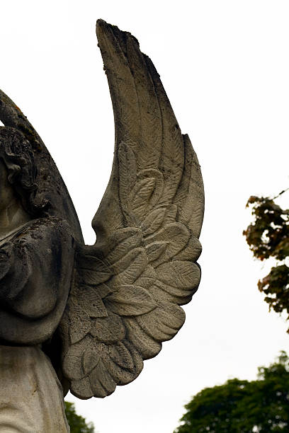 istock Wing of angel 158167648