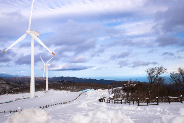 Snowscape at Daegwallyeong Ranch