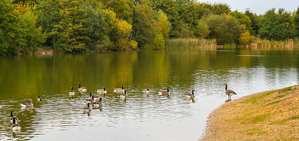 istock essex countryside uk 158172036
