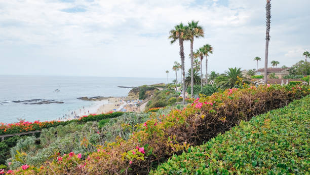 istock Laguna Beach California 1581720752