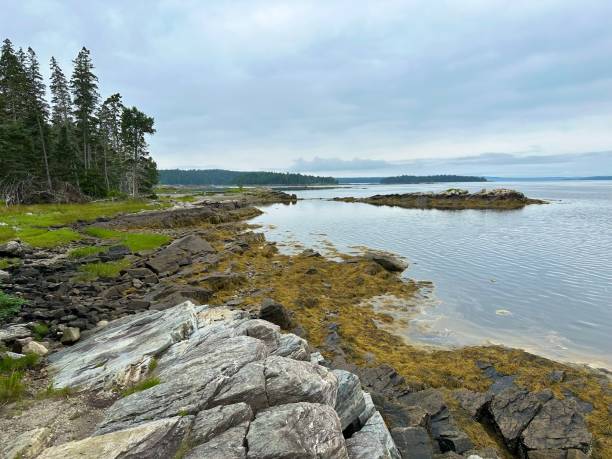 istock Ship Harbor Trail - Acadia National Park 1581727222
