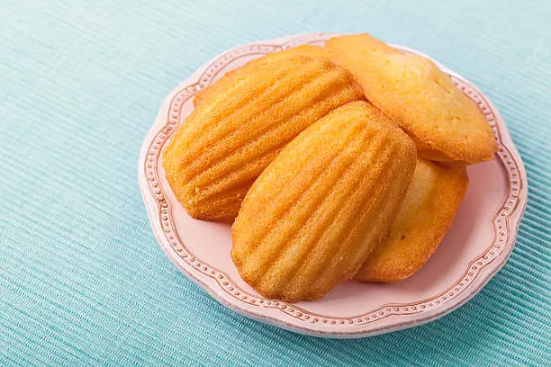 Madeleine on a pink plate