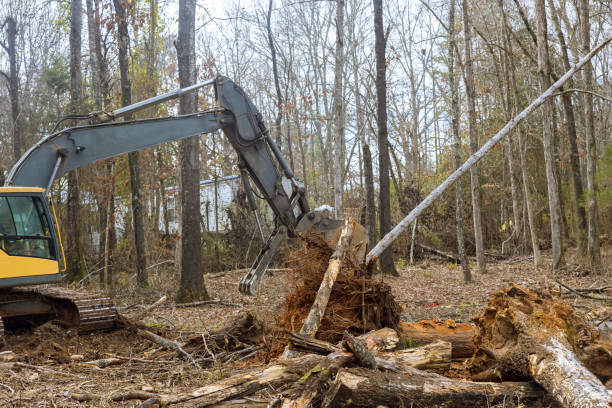 istock A excavator is being used by worker to clear land for house construction. 1581838050
