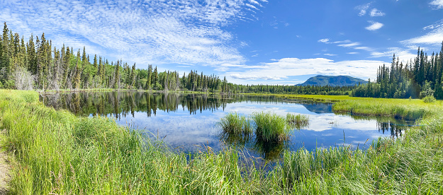 The beauty of Interior Alaska is enhanced with the smooth reflective waters.