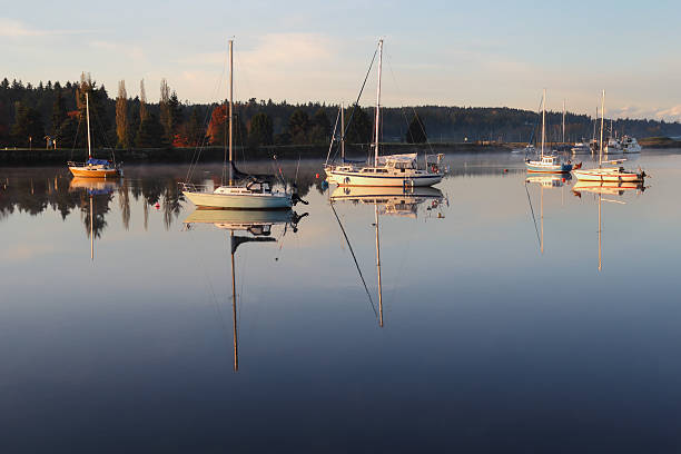 istock Nicomekl River Anchorage, British Columbia 158185564