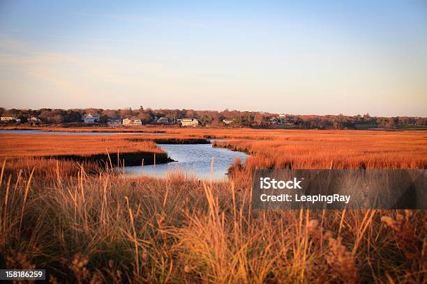 Cape Cod Salt Marsh In Winter Stock Photo - Download Image Now - Cape Cod, Autumn, Salt Marsh