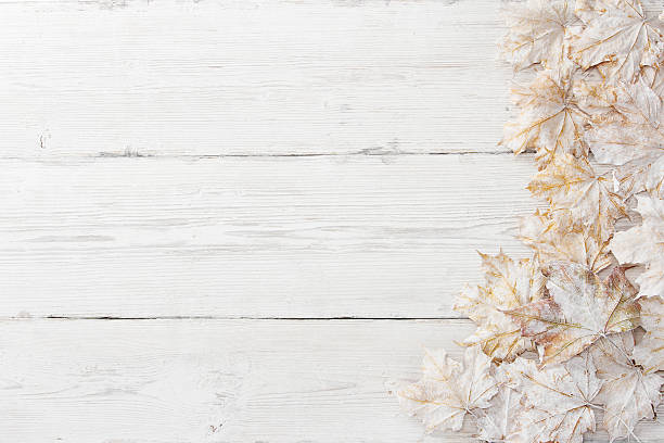 istock White leaves over wooden background 158186435