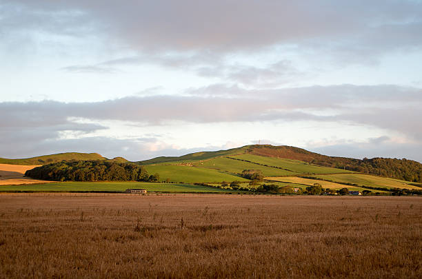 istock Goldenberry Hill 158186651