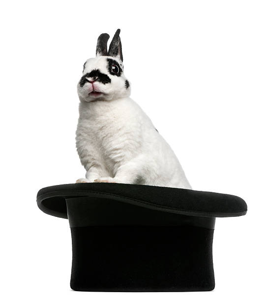 istock Dalmatian Rabbit standing in magician's top hat, against white background 158190816