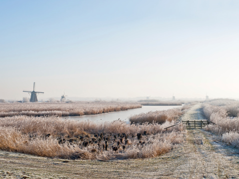 Winter landscape with traditional dutch windmills in Kinderdijk, Netherlands