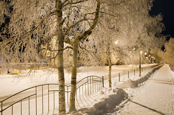noche de invierno. - tony snow fotos fotografías e imágenes de stock