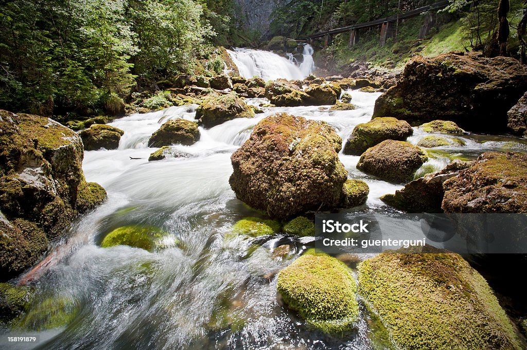 Montanha passa por uma floresta de primavera nos EUA - Foto de stock de Alta Áustria royalty-free