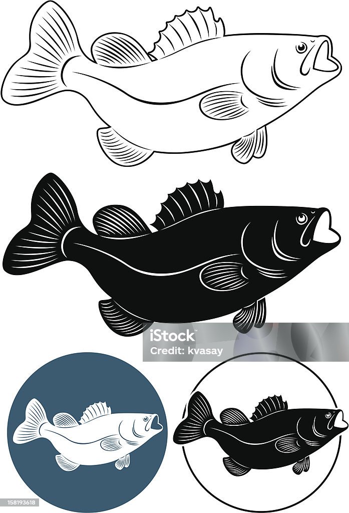 Pesca de robalo - Vetor de Barbatana - Parte do corpo animal royalty-free