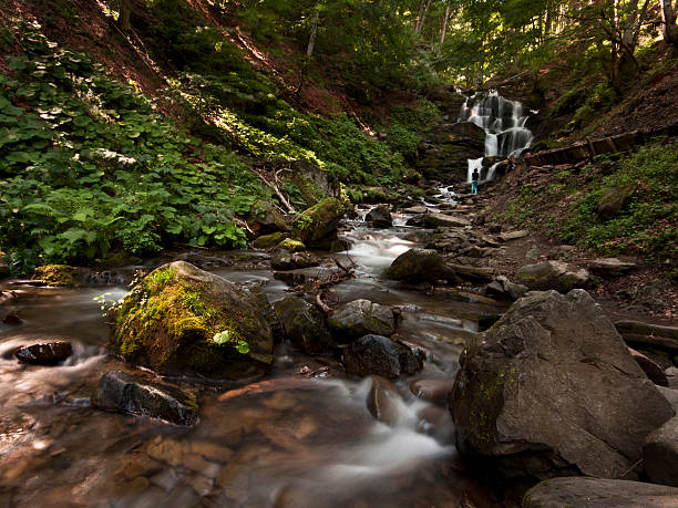 cascata com pedras na floresta - fressness imagens e fotografias de stock