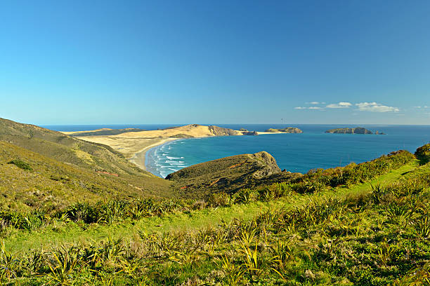 istock Ninety Mile Beach at Cape Reinga 158194988