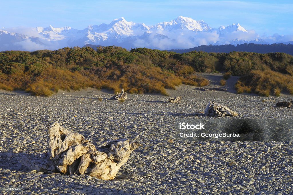 Mountain landscape Dry tree branch laying on the beach in Westland National Park, South Island, New Zealand. Awe Stock Photo