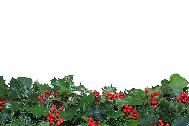 istock Holly and Ivy footer 158197594