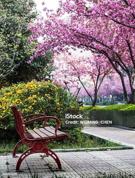 Foto de Flor E Uma Cadeira e mais fotos de stock de Beleza natural - Natureza - Beleza natural - Natureza, Cadeira, China
