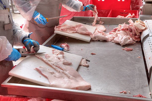 istock Gloved hands of workers working at a pork processing factory 158197646