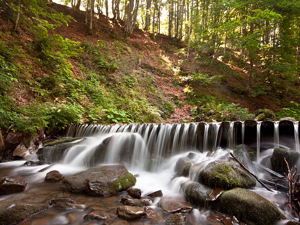 cascada con cálculos en el bosque. - fressness fotografías e imágenes de stock