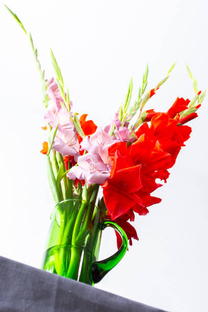 글라디올러스의 여름 꽃다발 - gladiolus bouquet vase purple 뉴스 사진 이미지