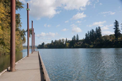 This is view from Wilsonville pier looking east on the Willamette River which is twenty miles south of Portland Oregon. Some days you can find people fishing from this pier or just enjoying this tranquil location.
