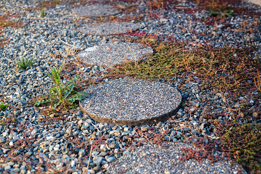 Circular stone pathway on gravel, overgrown with various weeds