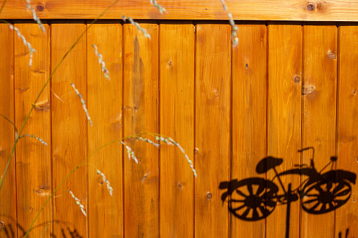 Bicycle garden ornament silhouetted on a wooden fence panel