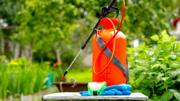 istock Orange containers for spraying pesticides 1582025090