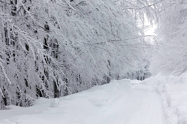 Winter landscape stock photo