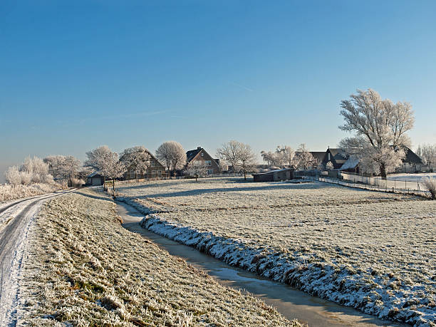 granja en invierno paisaje holandés - alblasserwaard fotografías e imágenes de stock