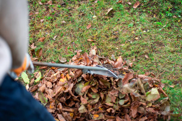 istock Man using rake to collect fallen autumn leaves in the backyard 1582066563