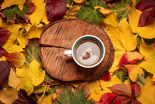 Colorful autumn leaves and wooden board with a cup of coffee, background pattern. Color of autumn leaves on the ground in October and November. Autumn leaves