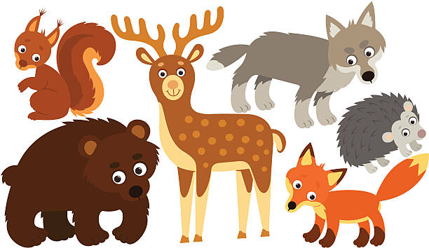 Animals vector art illustration