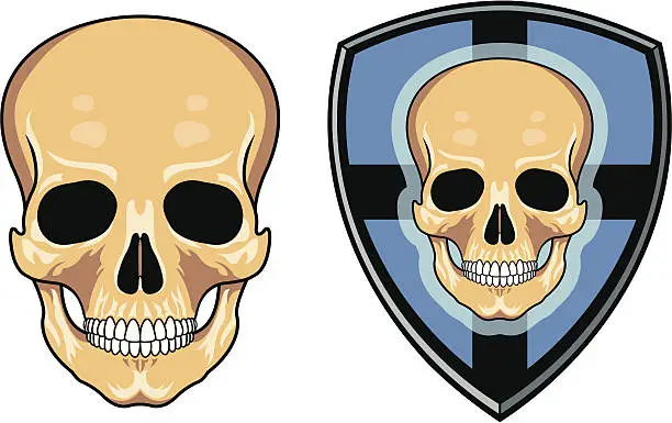 Vector illustration of Skull