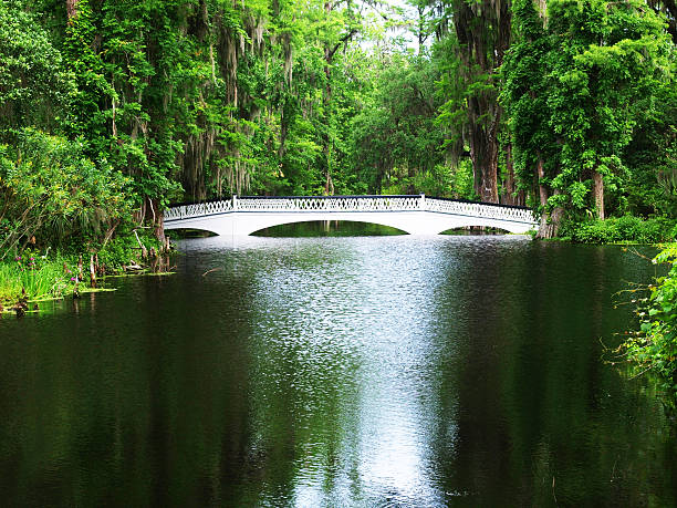 istock Long White Bridge at a Plantation 158213150