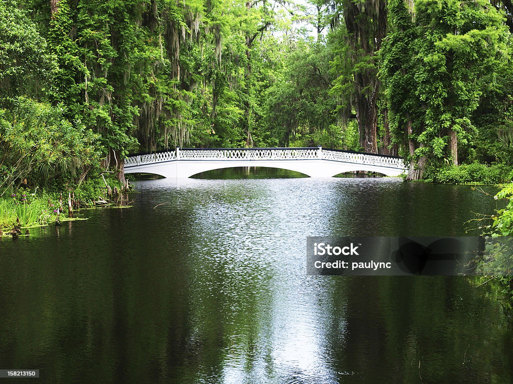 Длинные белые Мост на плантации - Стоковые фото Болото роялти-фри