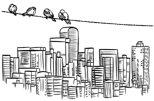 Sketch illustration of a downtown cityscape with high-rises and a simple electric wire with four sparrows perched on it.